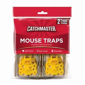Catchmaster Mouse Trap 2pk (2.99)